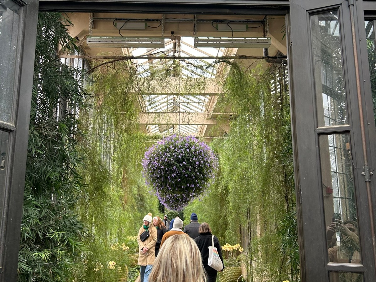 My Experience at Longwood&nbsp;Gardens